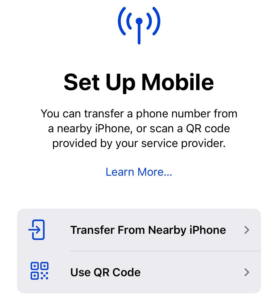  A screenshot of a mobile phone settings menu showing the Add eSIM option, demonstrating that no physical SIM card is required for this plan.