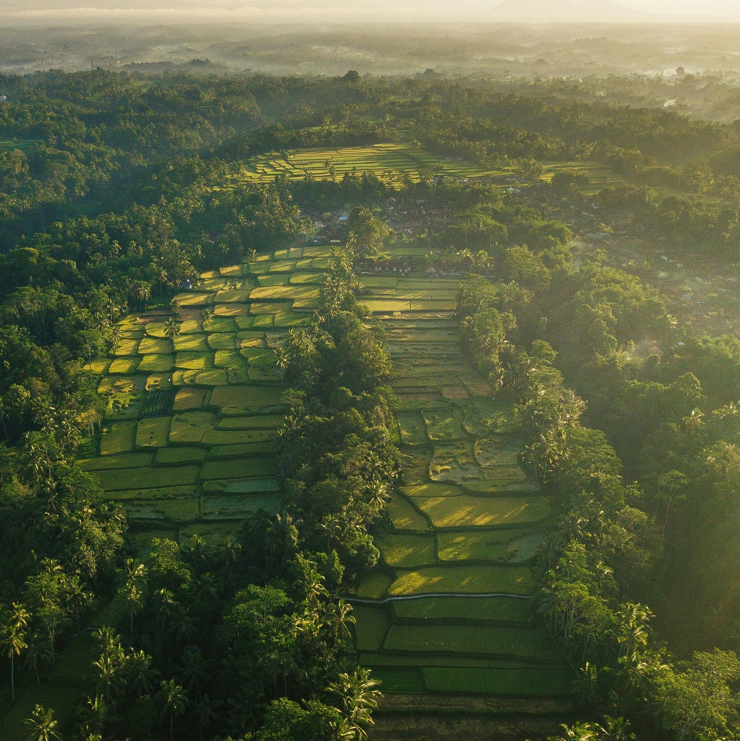  Lush green Tegalalang Rice Terraces in Ubud, a popular destination for digital nomads using our instant Indonesia eSIM data plans for remote work.